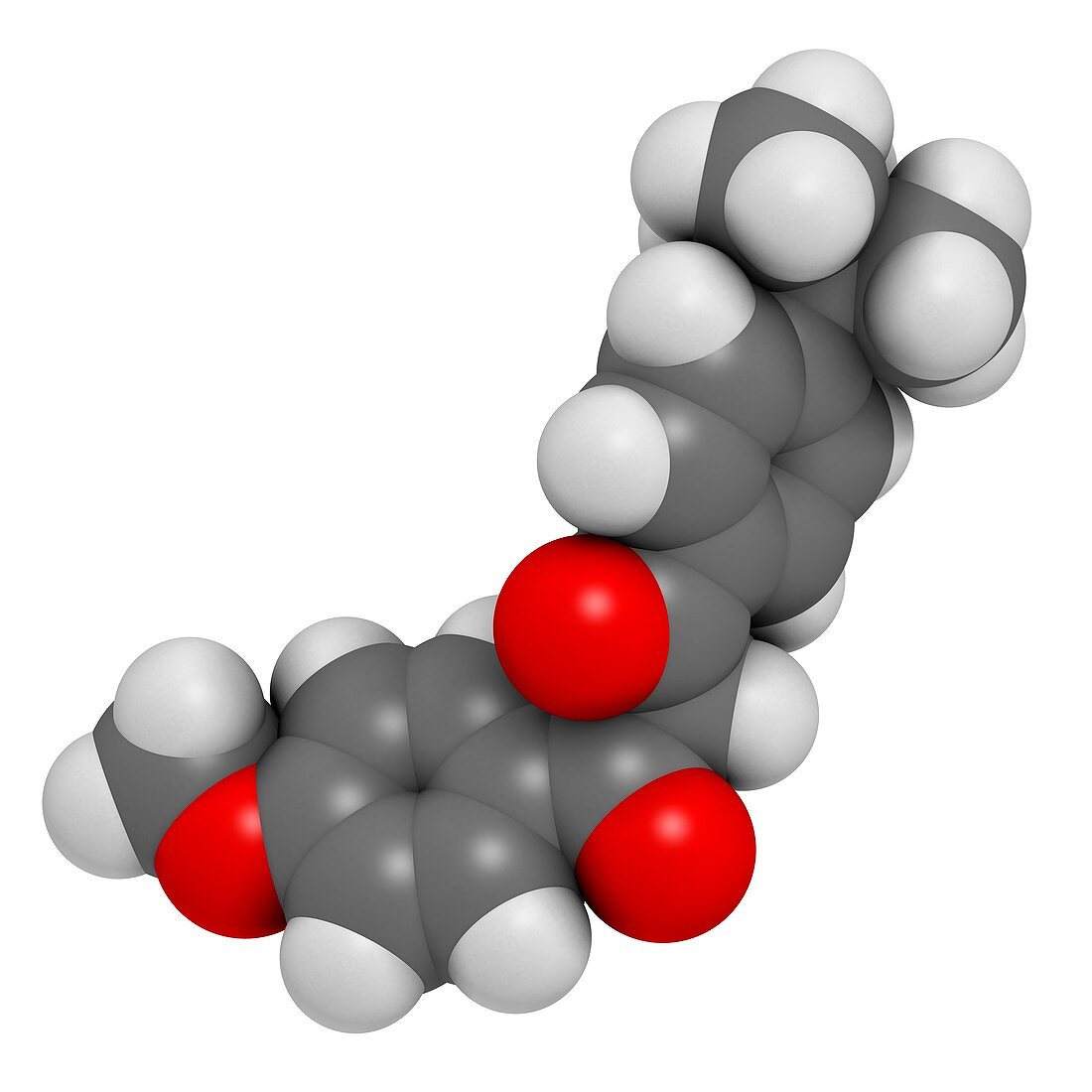 Avobenzone sunscreen molecule