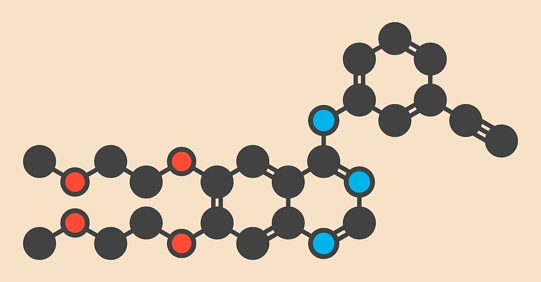 Erlotinib cancer drug molecule