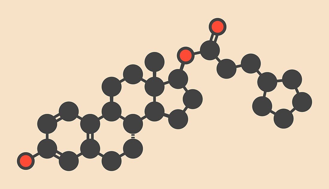 Estradiol cypionate prohormone molecule