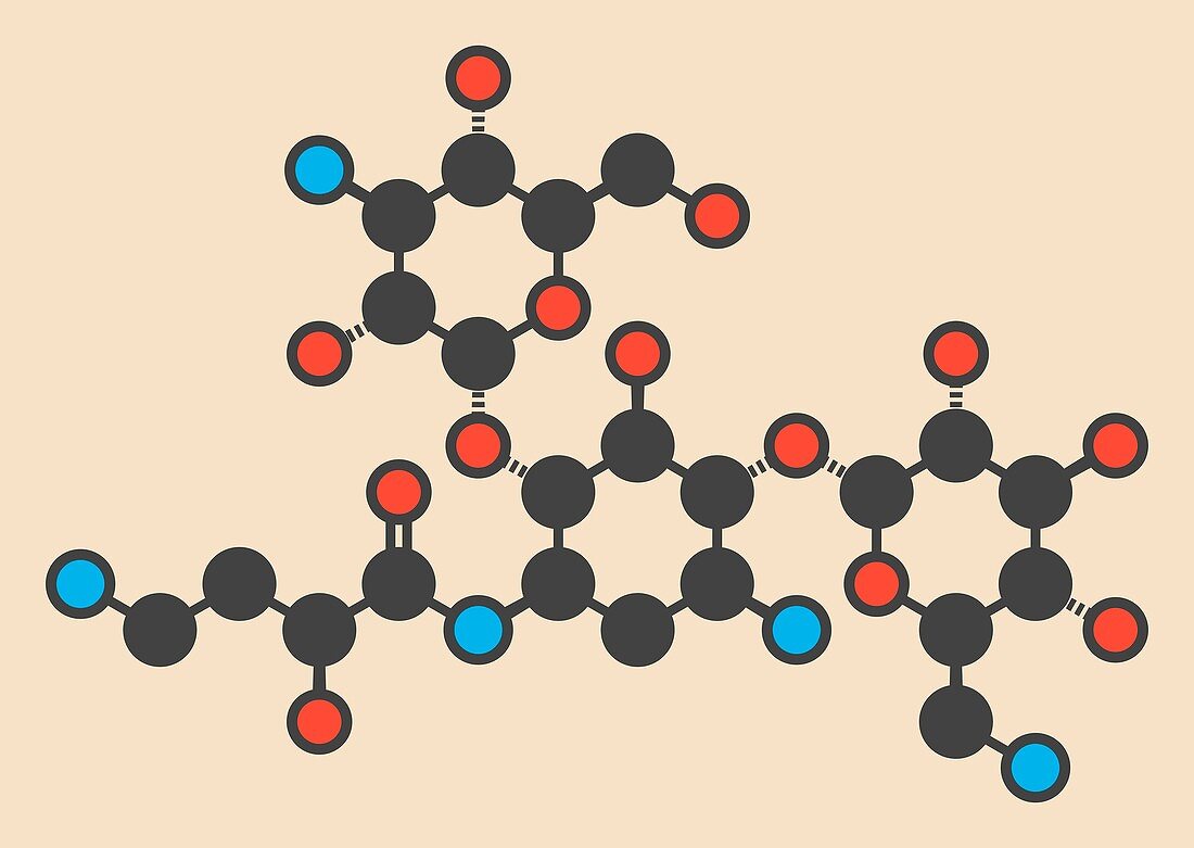 Amikacin aminoglycoside drug molecule