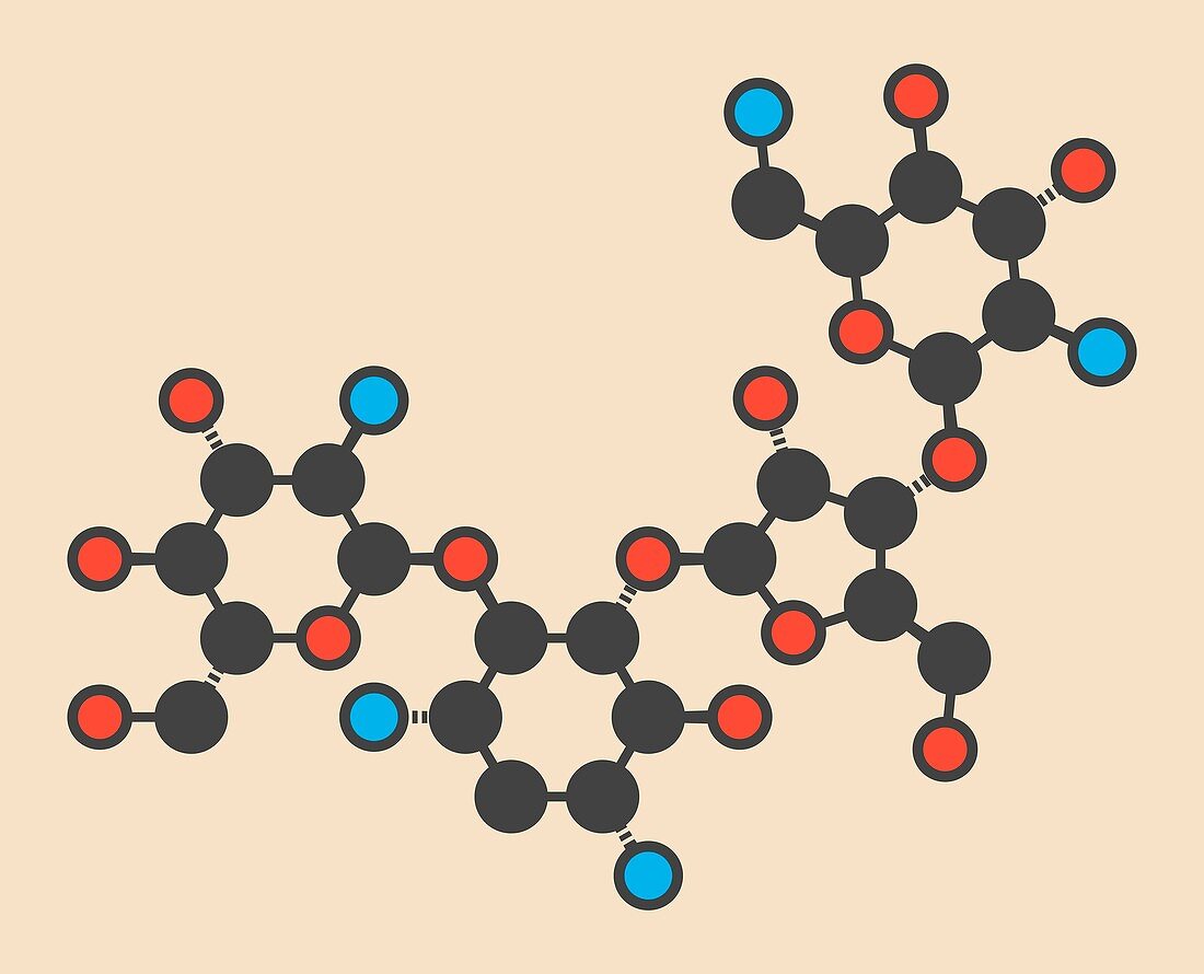 Paromomycin aminoglycoside molecule