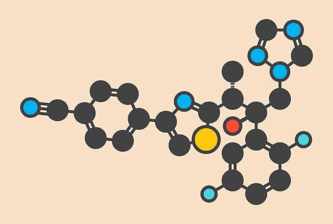 Isavuconazole triazole molecule