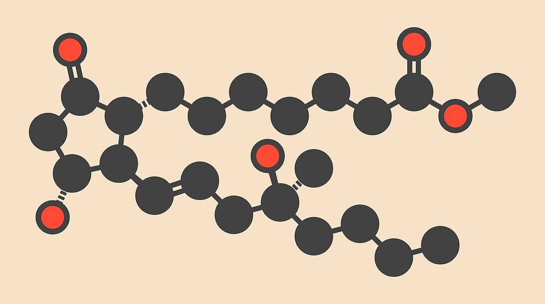 Misoprostol molecule