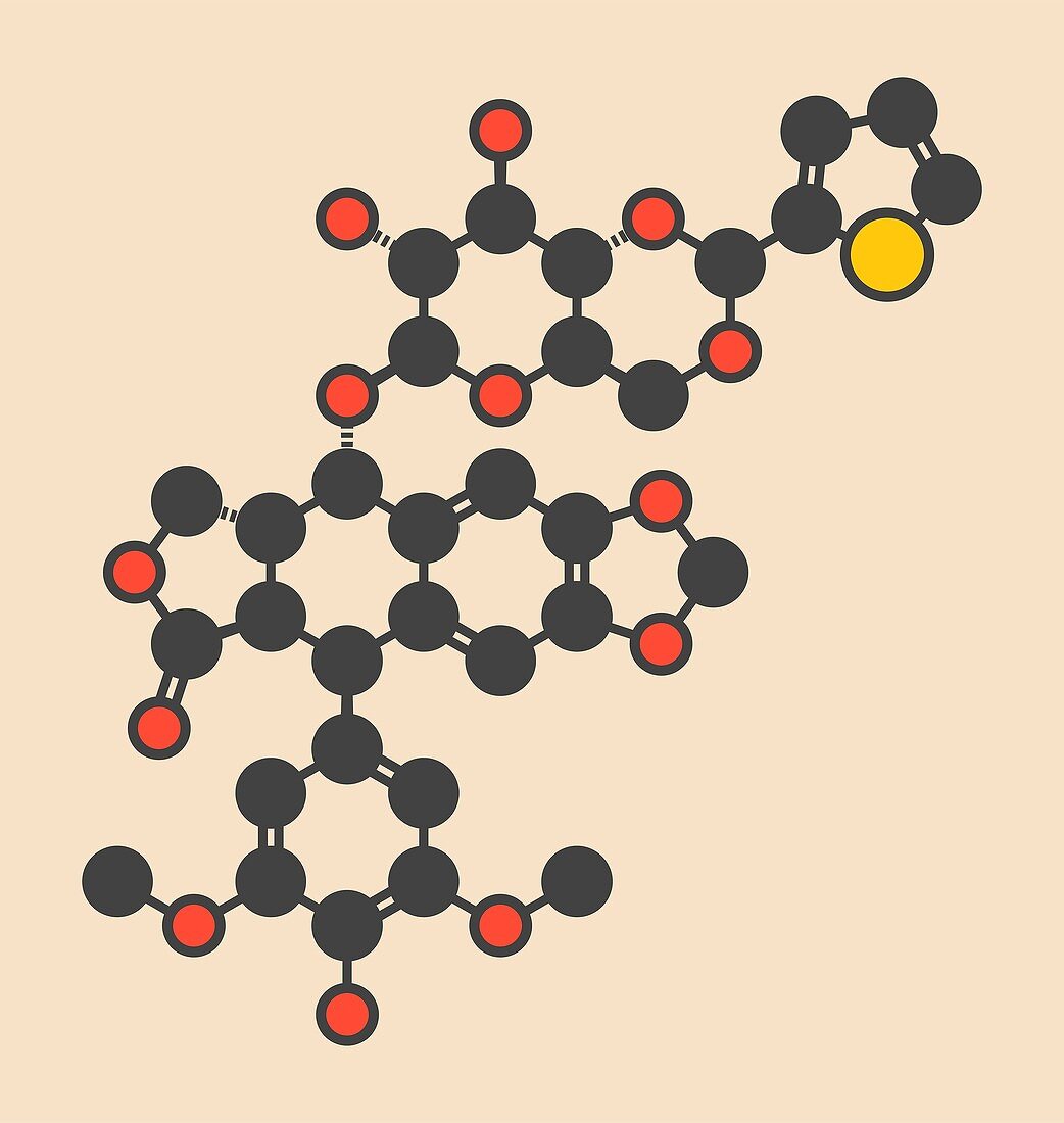 Teniposide cancer drug molecule
