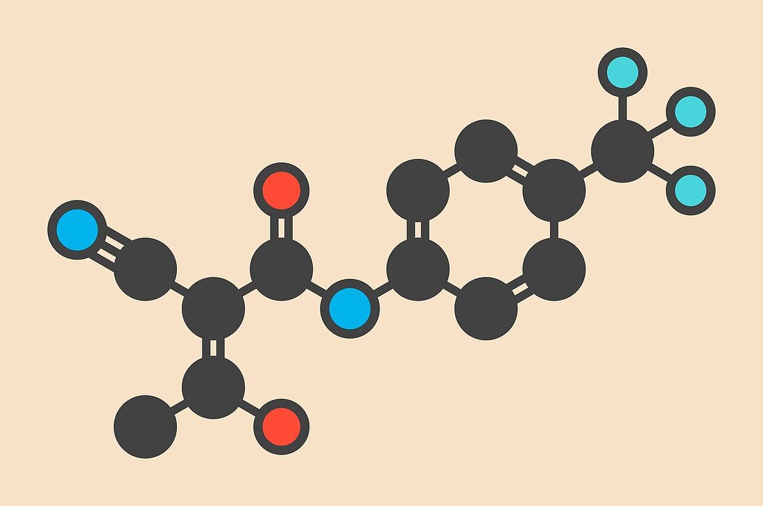 Teriflunomide molecule
