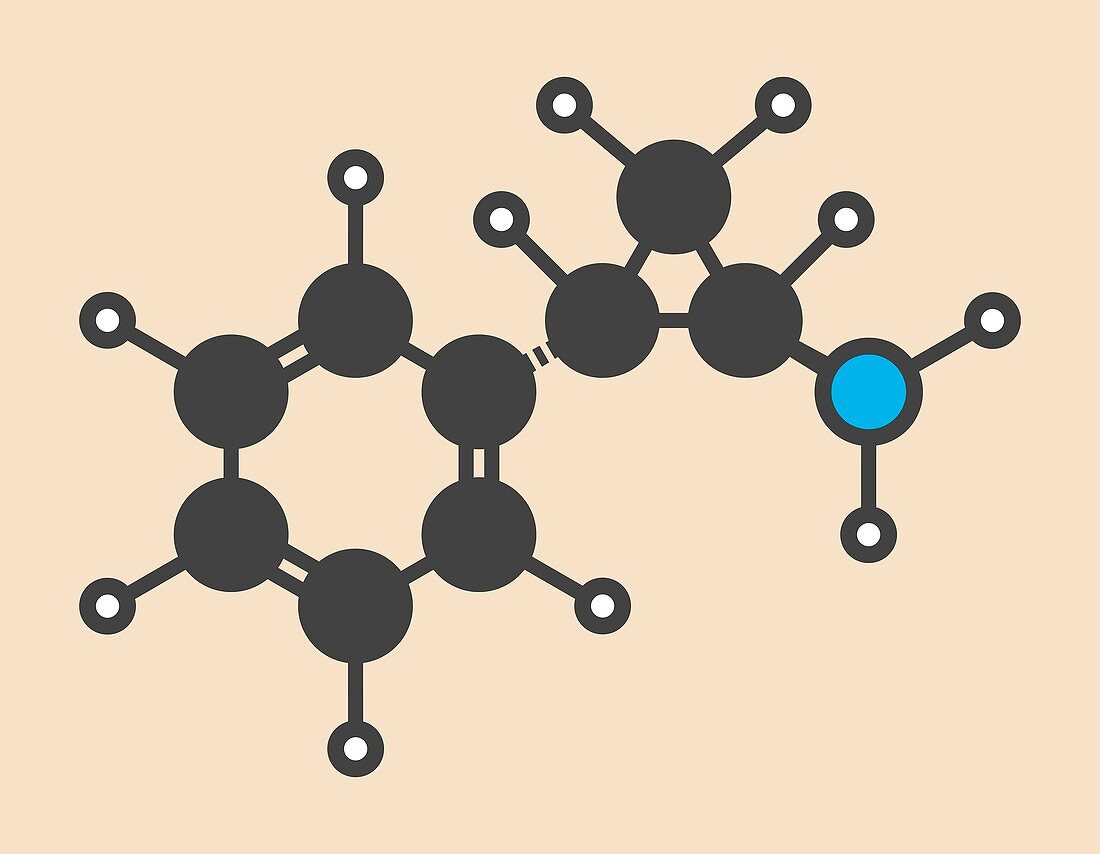 Tranylcypromine drug molecule