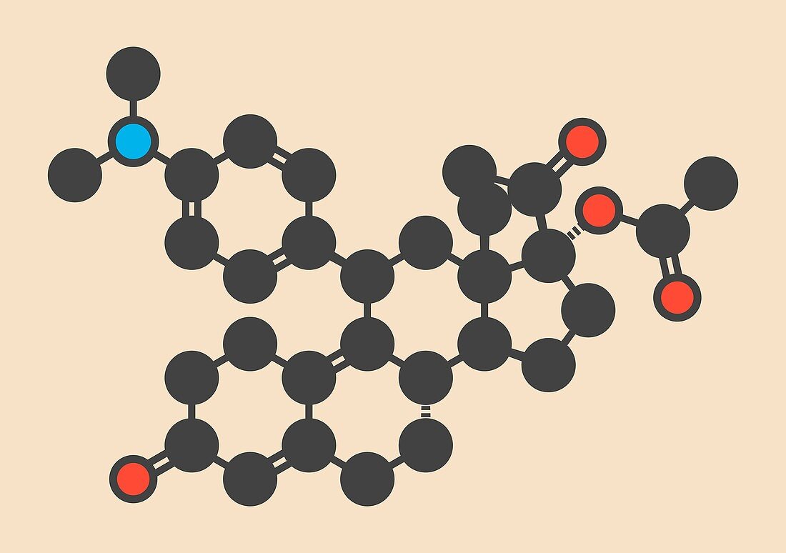 Ulipristal acetate contraceptive molecule