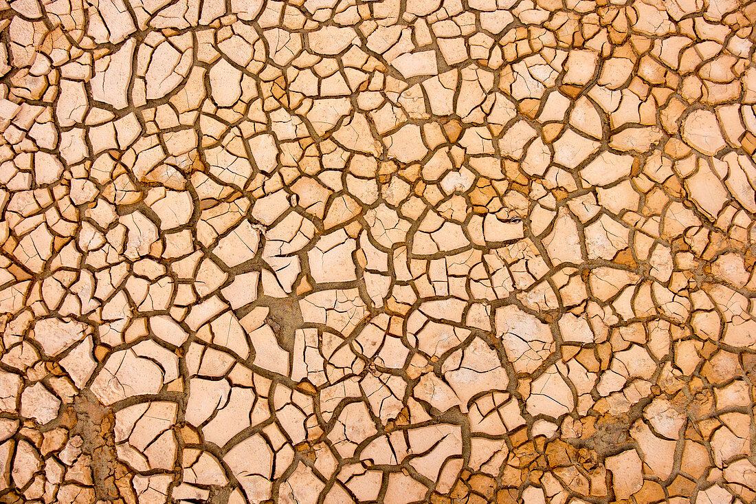 Patterns on cracked earth
