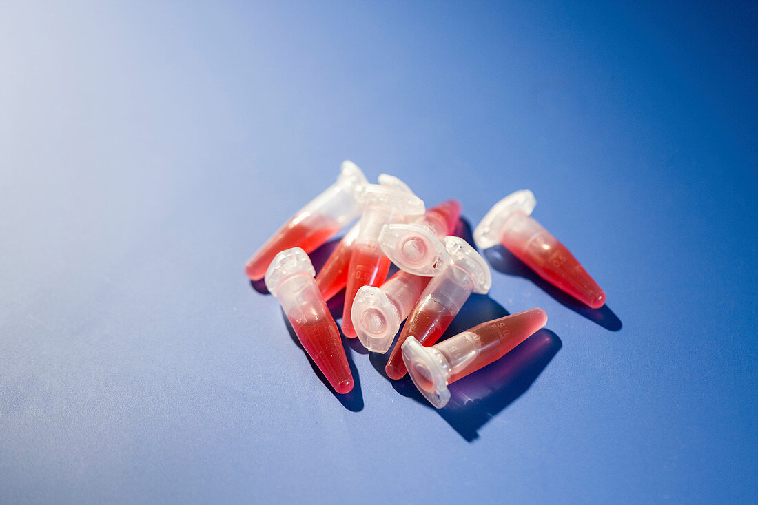 Eppendorf tubes