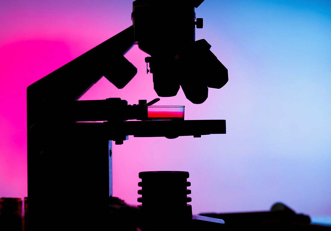 Silhouette of a microscope