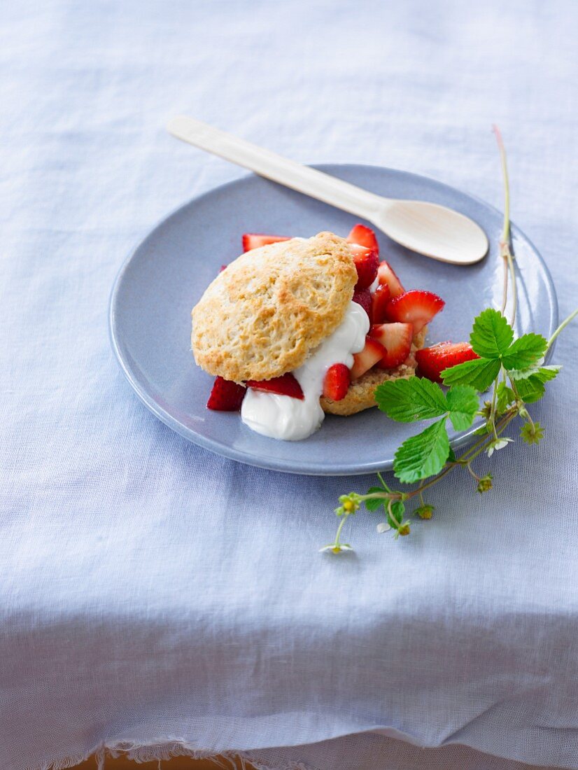 Shortcake with strawberries and cream