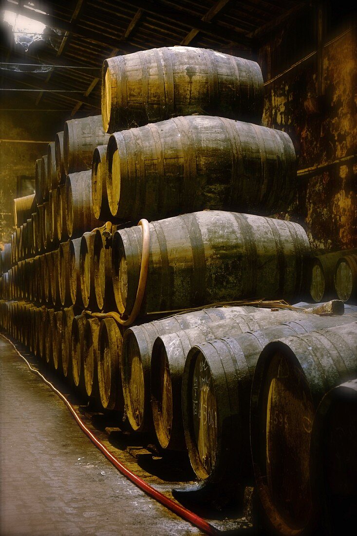 Port wine in a wooden barrels in the Niepoort winery, Portugal