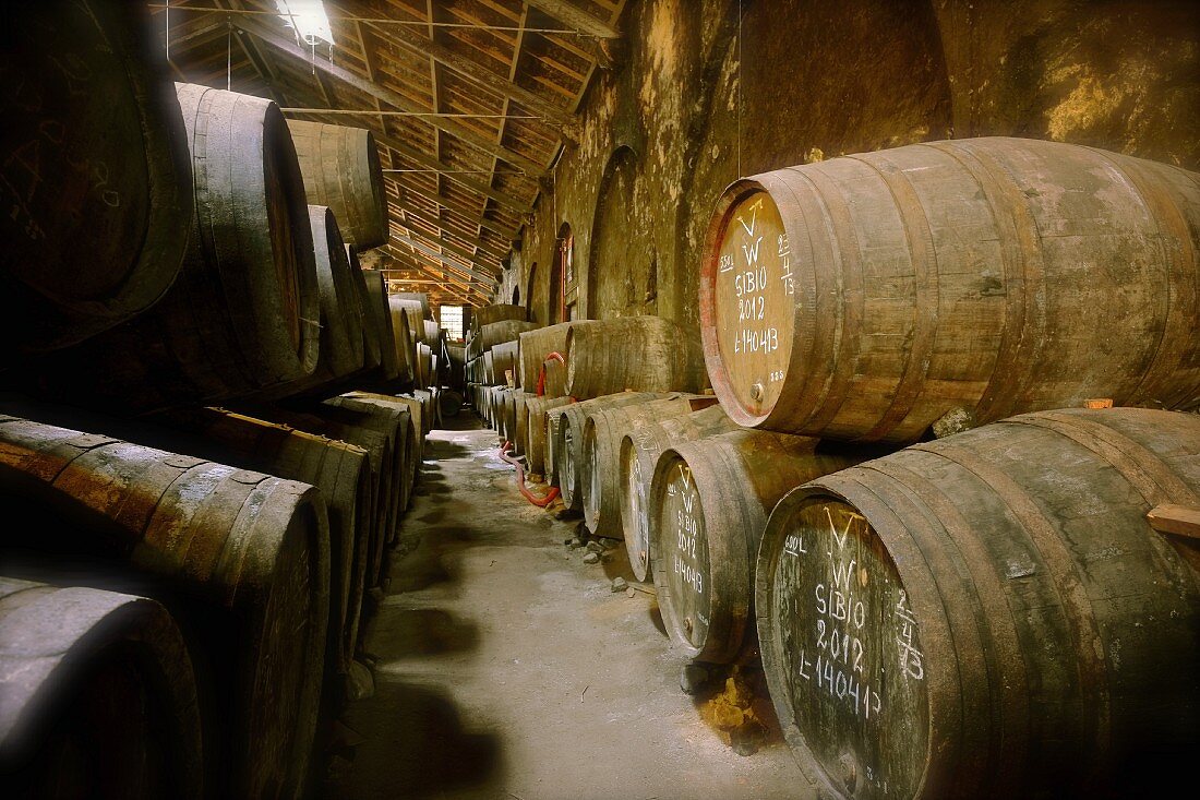 Portwein in Holzfässern im Weinkeller Niepoort, Portugal