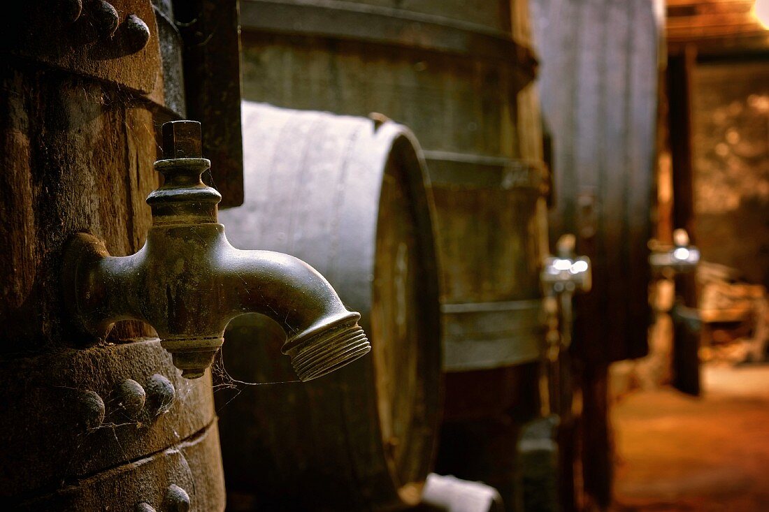 Portwein in Holzfässern im Weinkeller Niepoort, Portugal