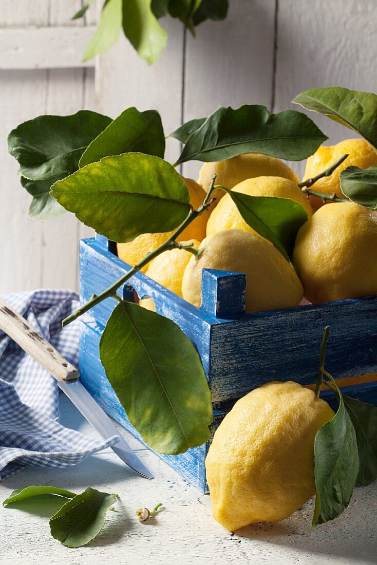 Frische Zitronen mit Blatt in blauer Holzkiste