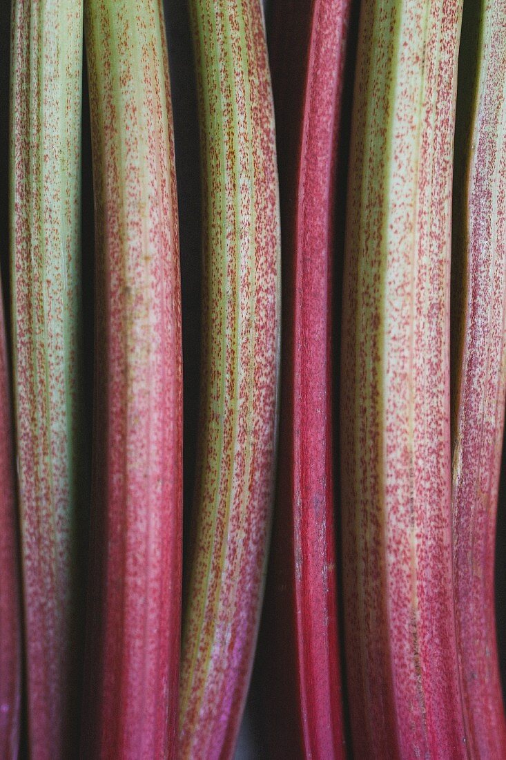 Rhubarb stalks (section)