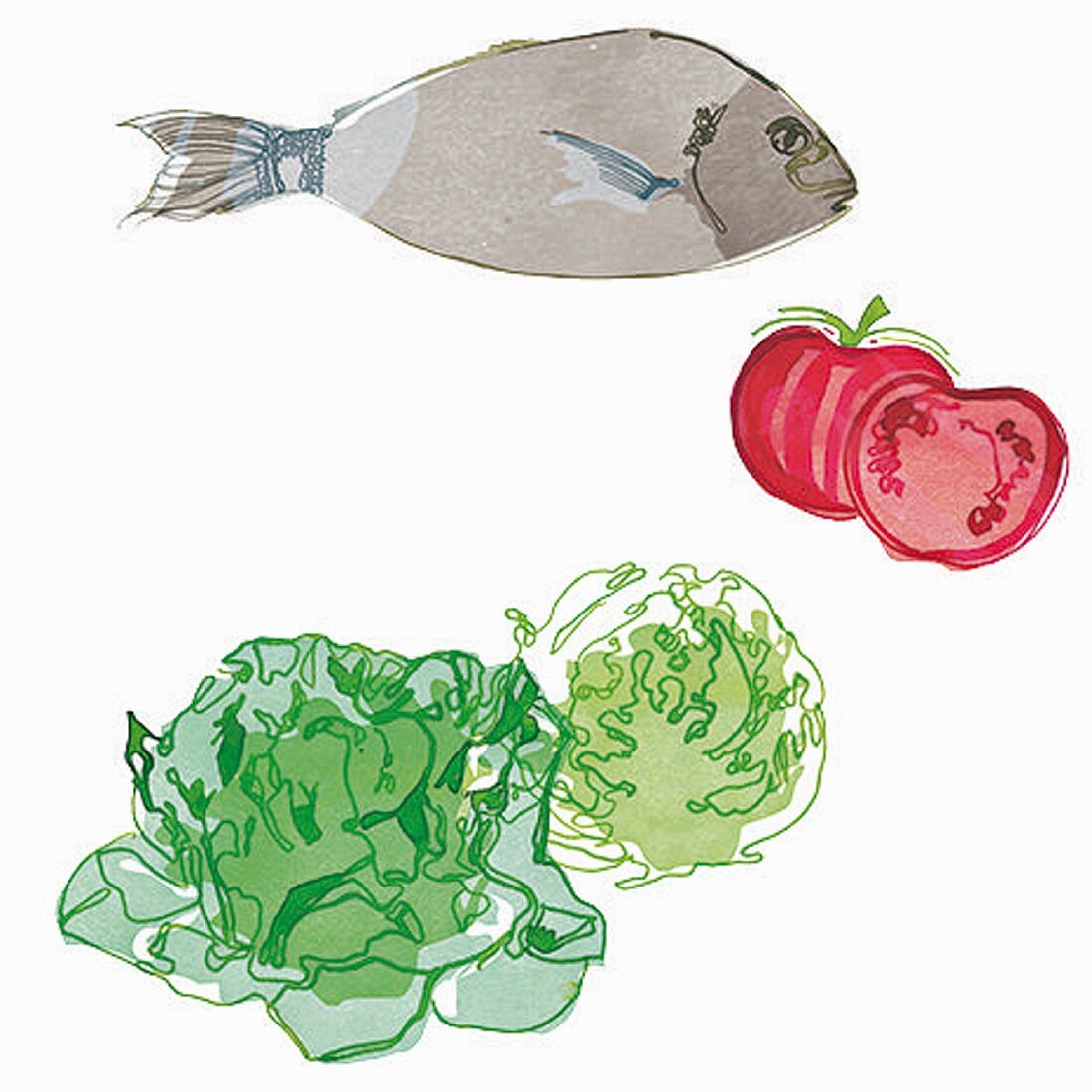 Fisch, Tomaten und Salat (Illustration)