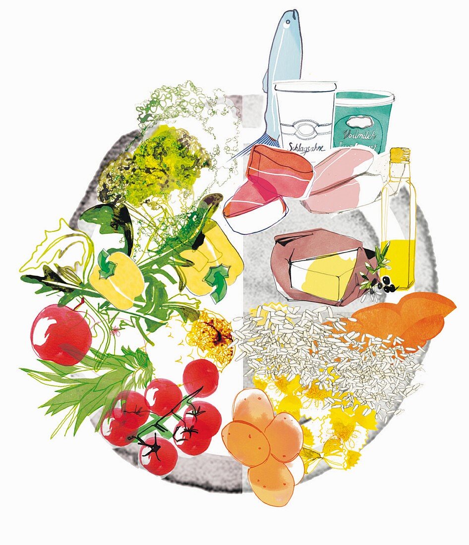 Ideal nutrition separated on a plate (illustration)