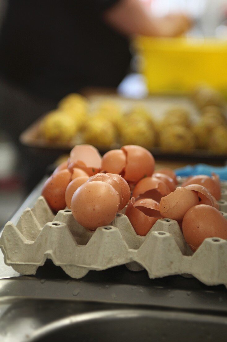 Empty eggshells in an egg box