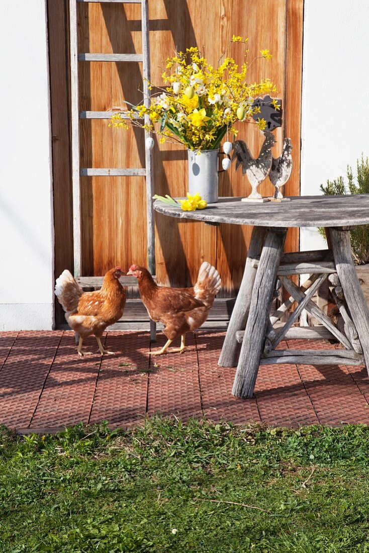 Hühner vor einem Tisch mit gelbem Osterstrauß