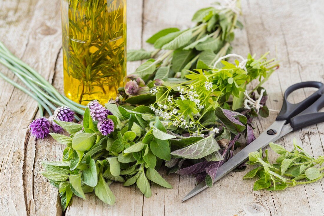 Fresh herbs for homemade herbal oil