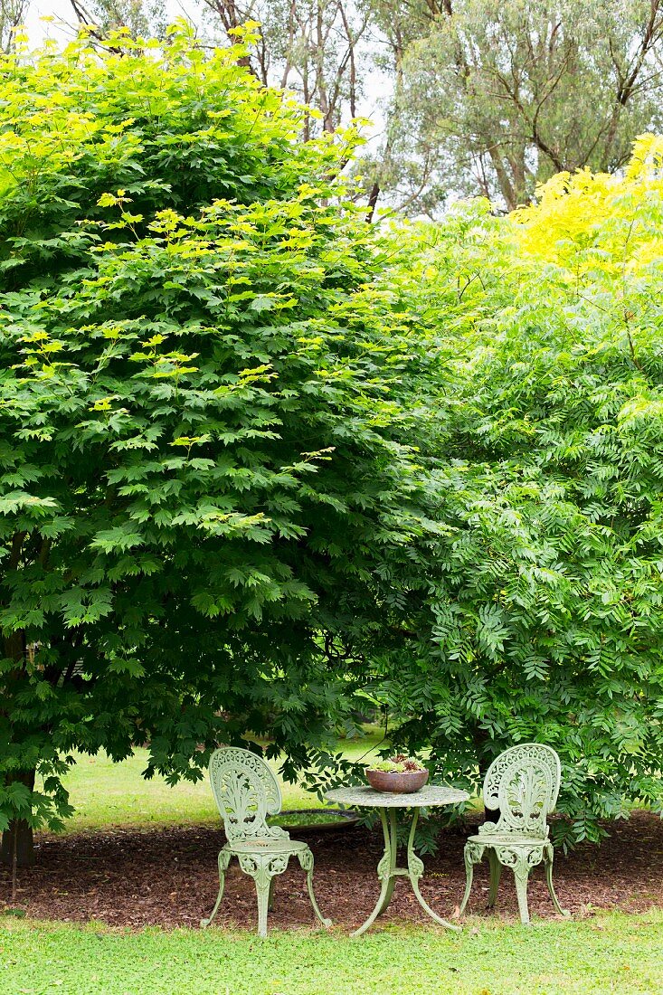 Romantic garden space for two in front of green bushes