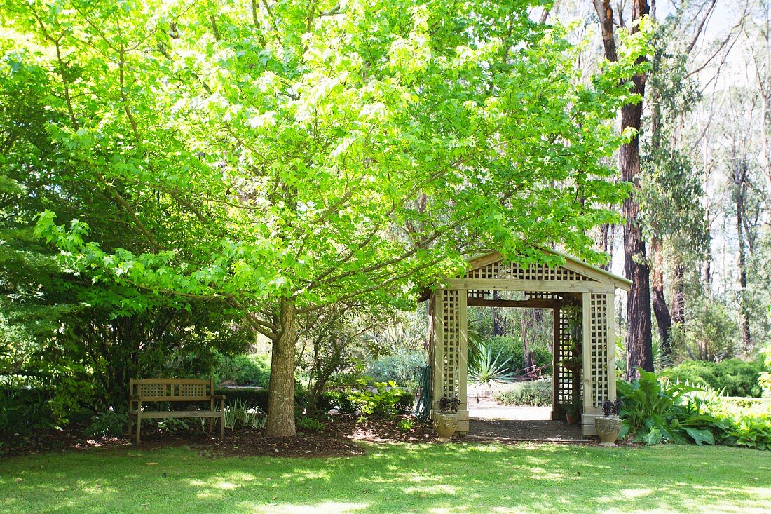 Idyllischer Gartenplatz mit Holzpavillion und Gartenbank unter grünem Ahornbaum