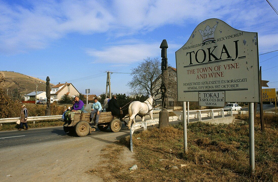 Schild und Pferdewagen am Ortseingang der Stadt Tokaj, Ungarn