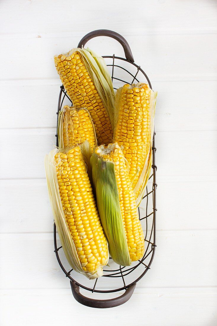 Corncobs in a wire basket