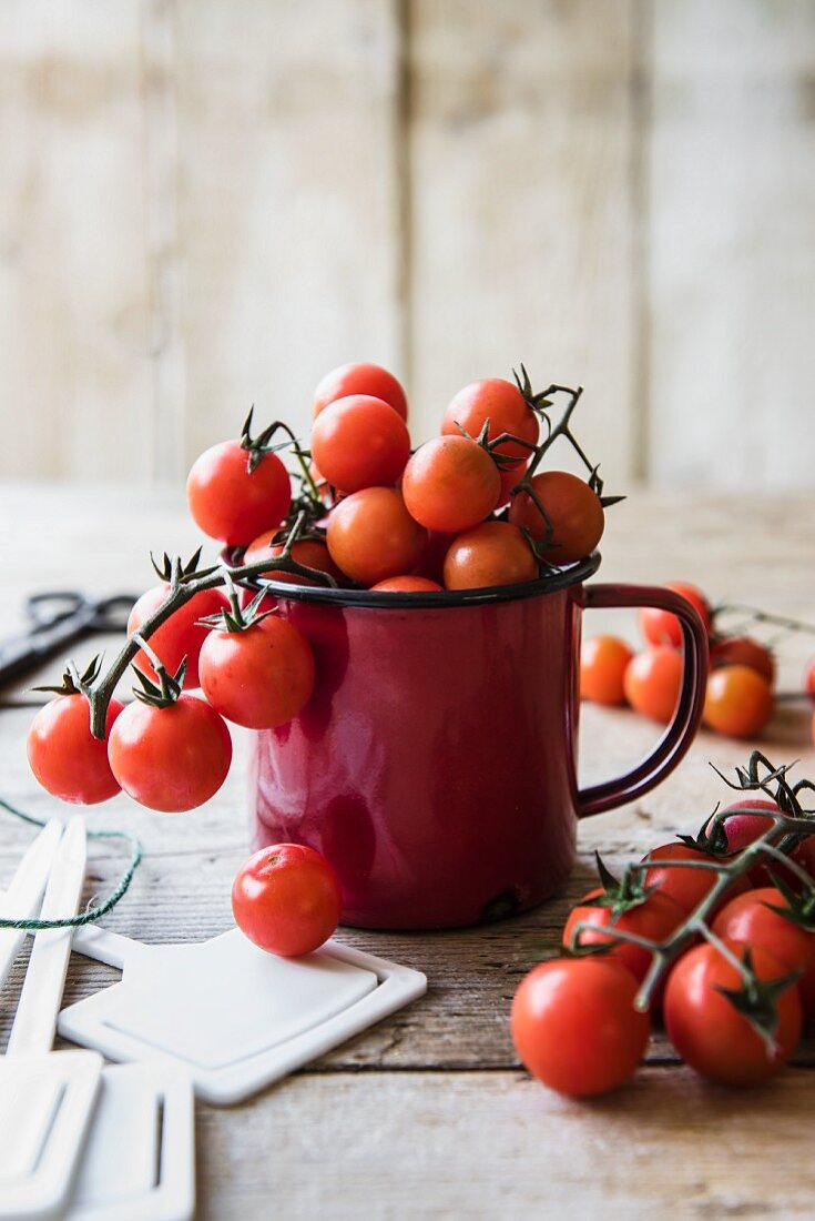 Vine tomatoes in a red enamel cup mug