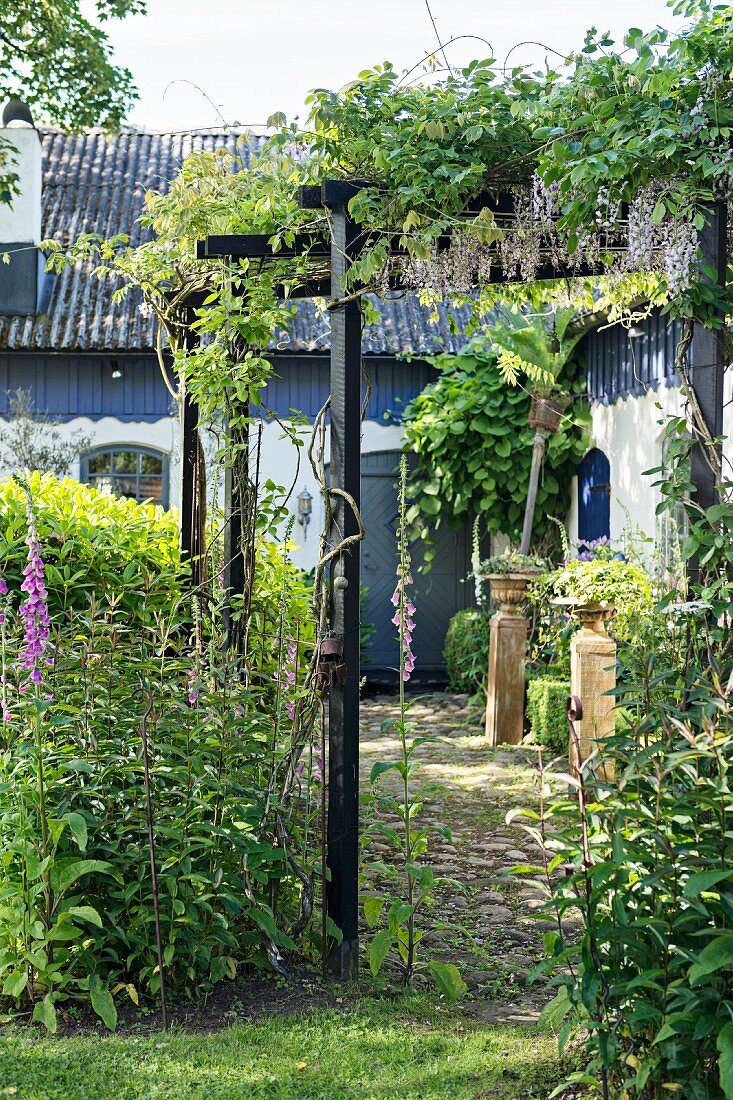 Berankte Pergola vor renoviertem Bauernhaus