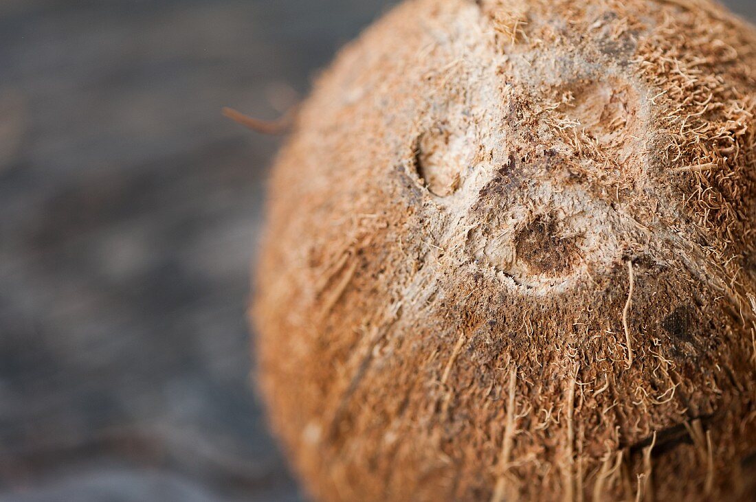 A coconut (close-up)