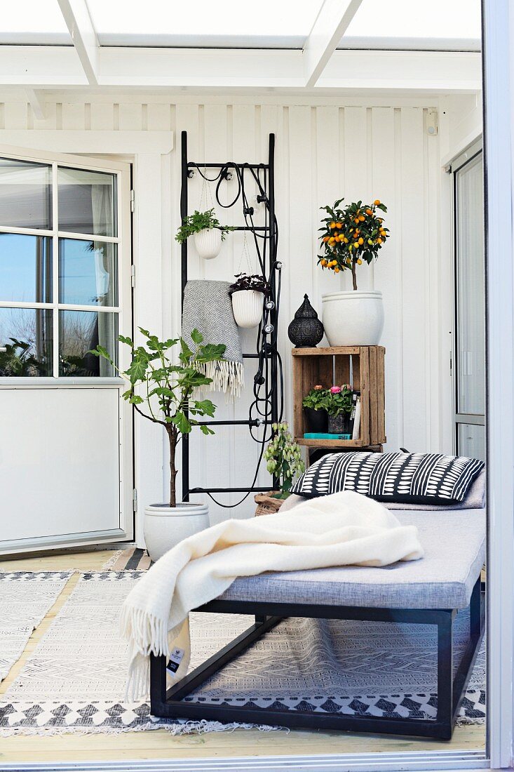 Couch, potted plants hung from black ladder frame in conservatory extension with Scandinavian ambiance