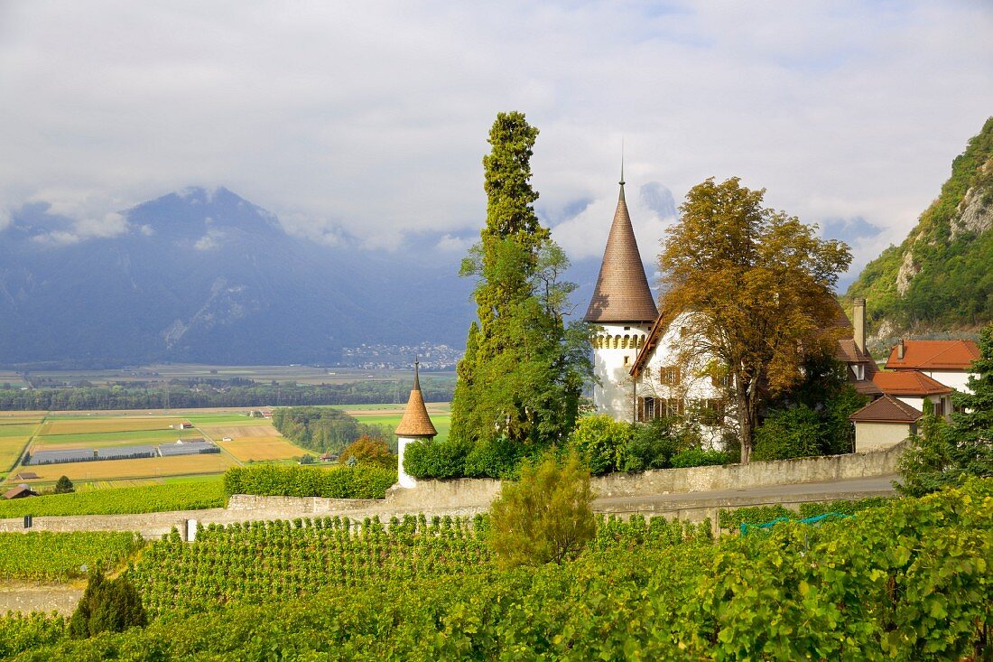 Chateau Maison Blanche in Yvorne, Chablais wine region, Waadt, Switzerland