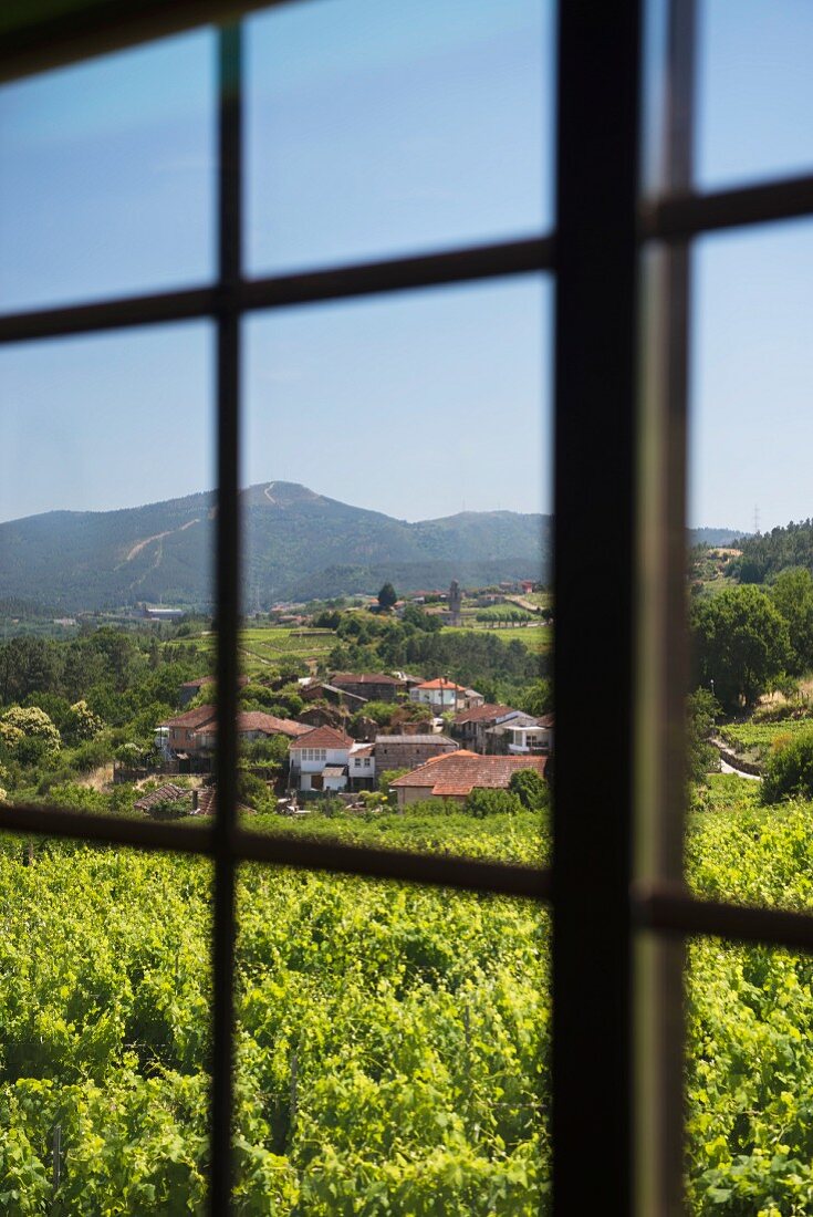 Blick aus Verandafenster im Kloster Priorato de Vieite auf Weinberge, Weingut Pazo de Vieite