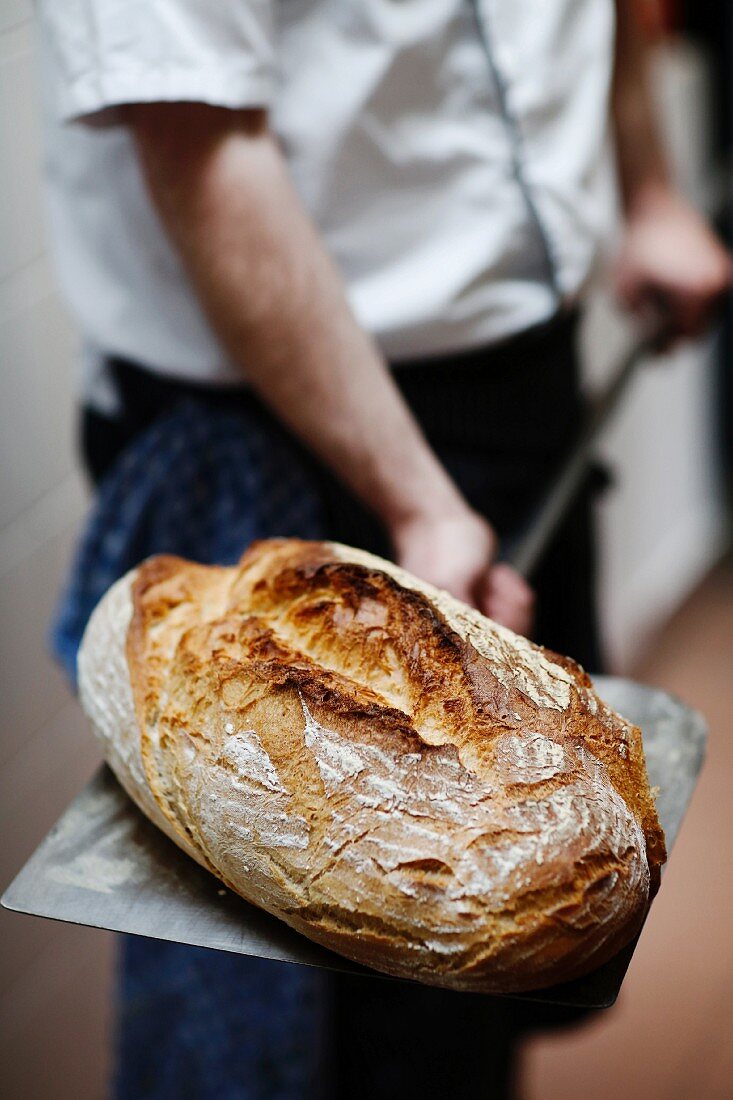 Frischer Brotlaib im Gasthaus Schwarzer Adler in Oberbergen, Kaiserstuhl