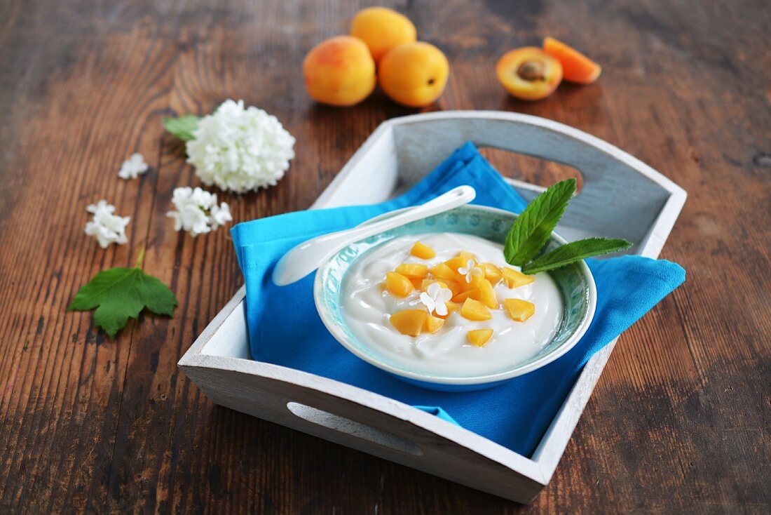 Joghurt mit Aprikosen und Minze
