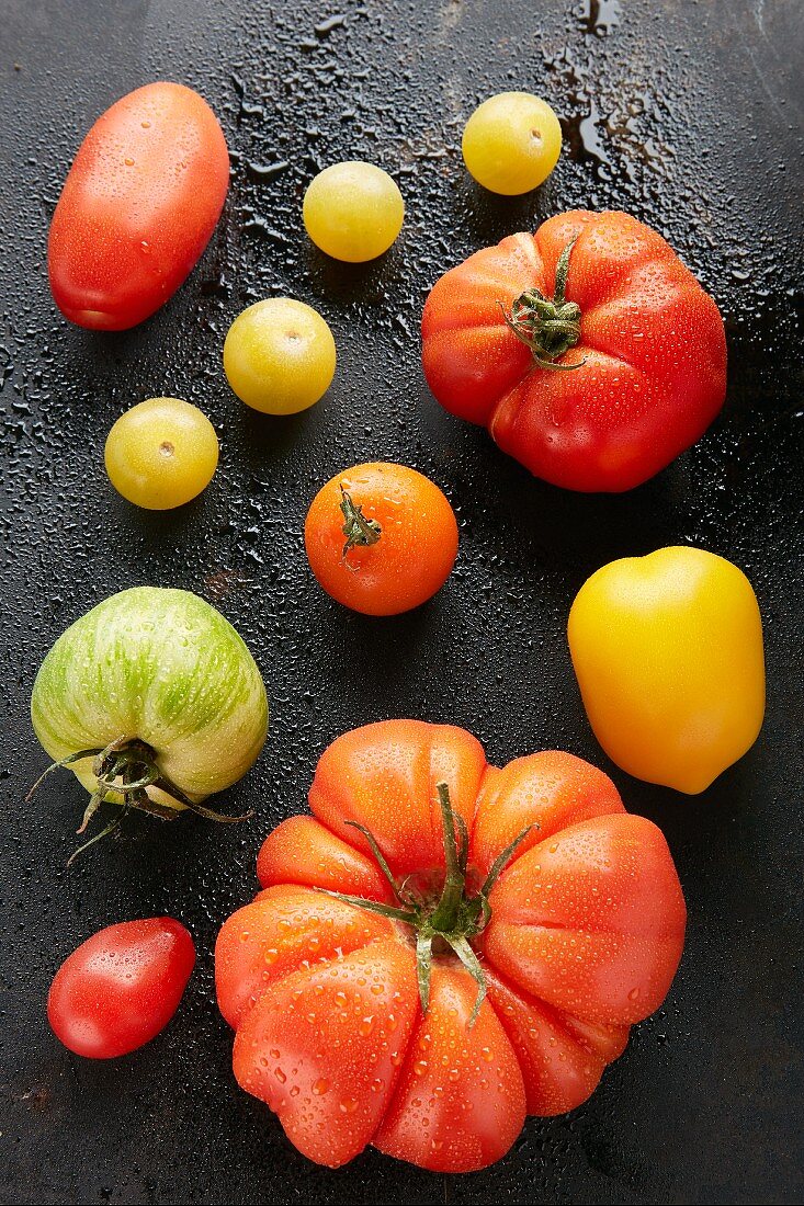 Bunte Tomaten mit Wassertropfen