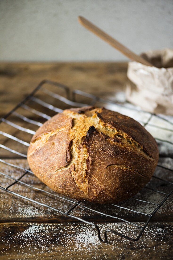 Sauerteigbrot auf Abkühlgitter