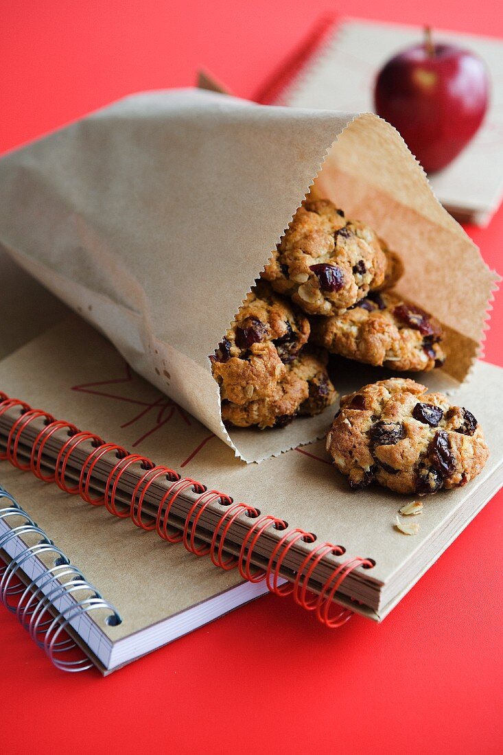 Haferflockenkekse mit Cranberries und Rosinen zum Mitnehmen als Pausensnack