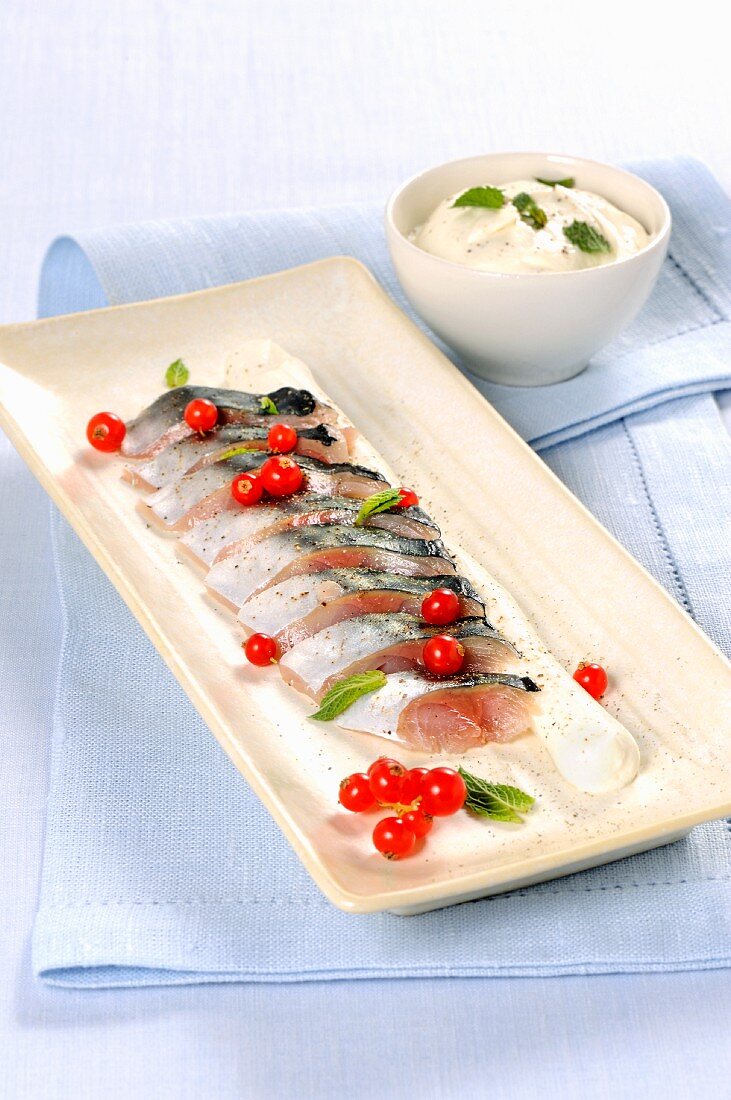 Marinated mackerel with redcurrants