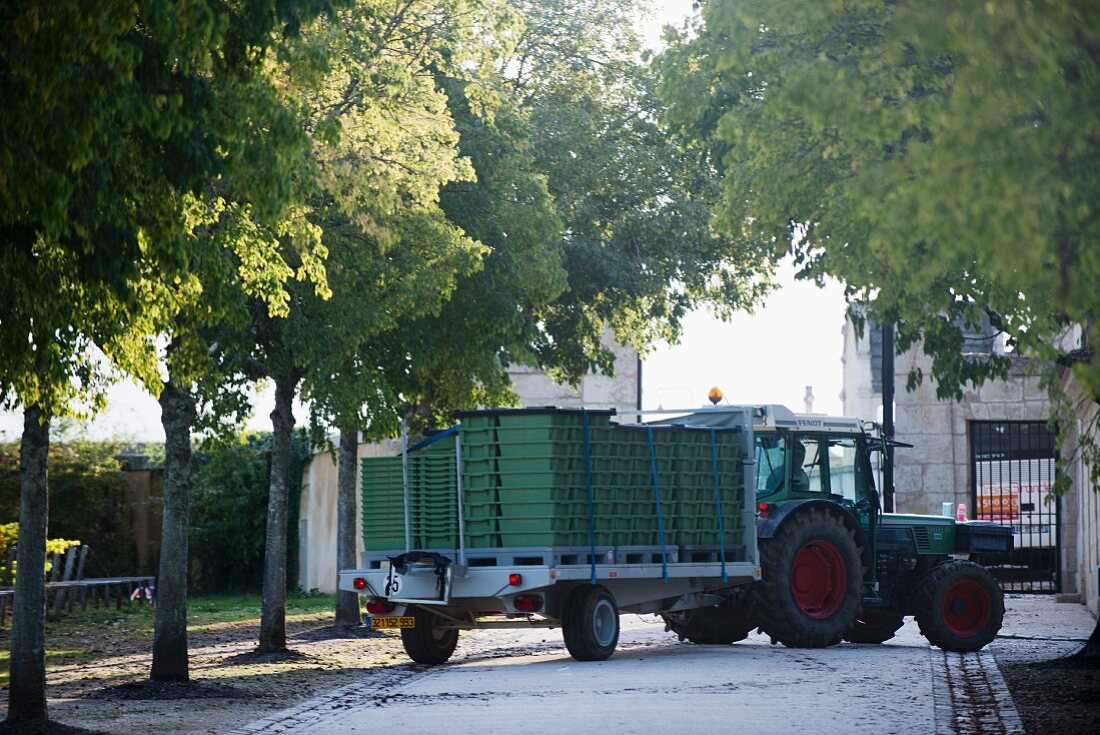 Grapes being delivered at Chateau Margaux