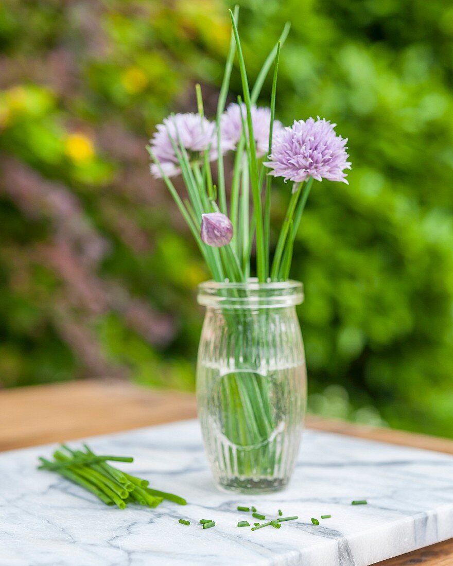 Flowering chives in a glass of water on a garden table
