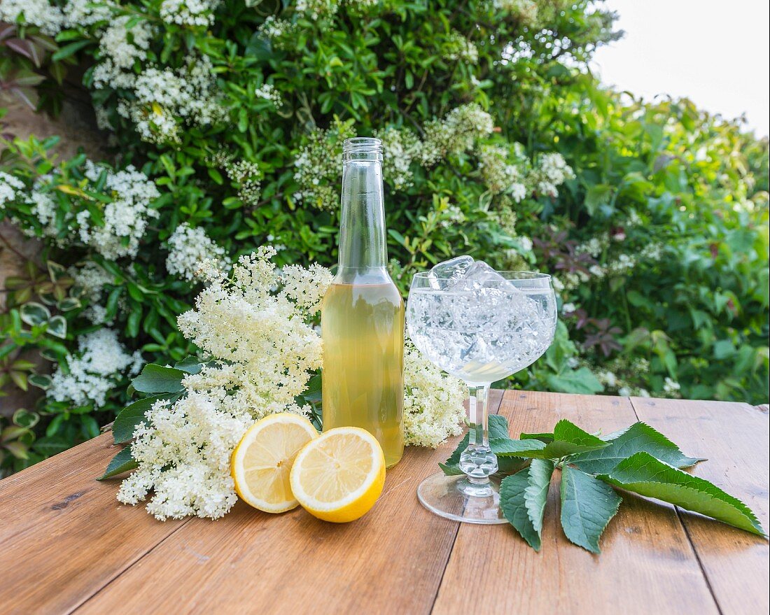 Holunderblüten, Holunderblütensirup und Zitronen auf Holztisch im Garten