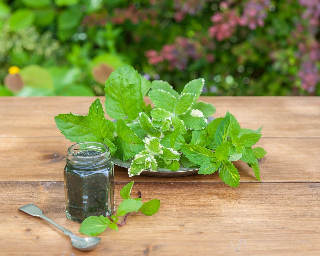 Three types of mint and a jar of pesto on a wooden table in a garden