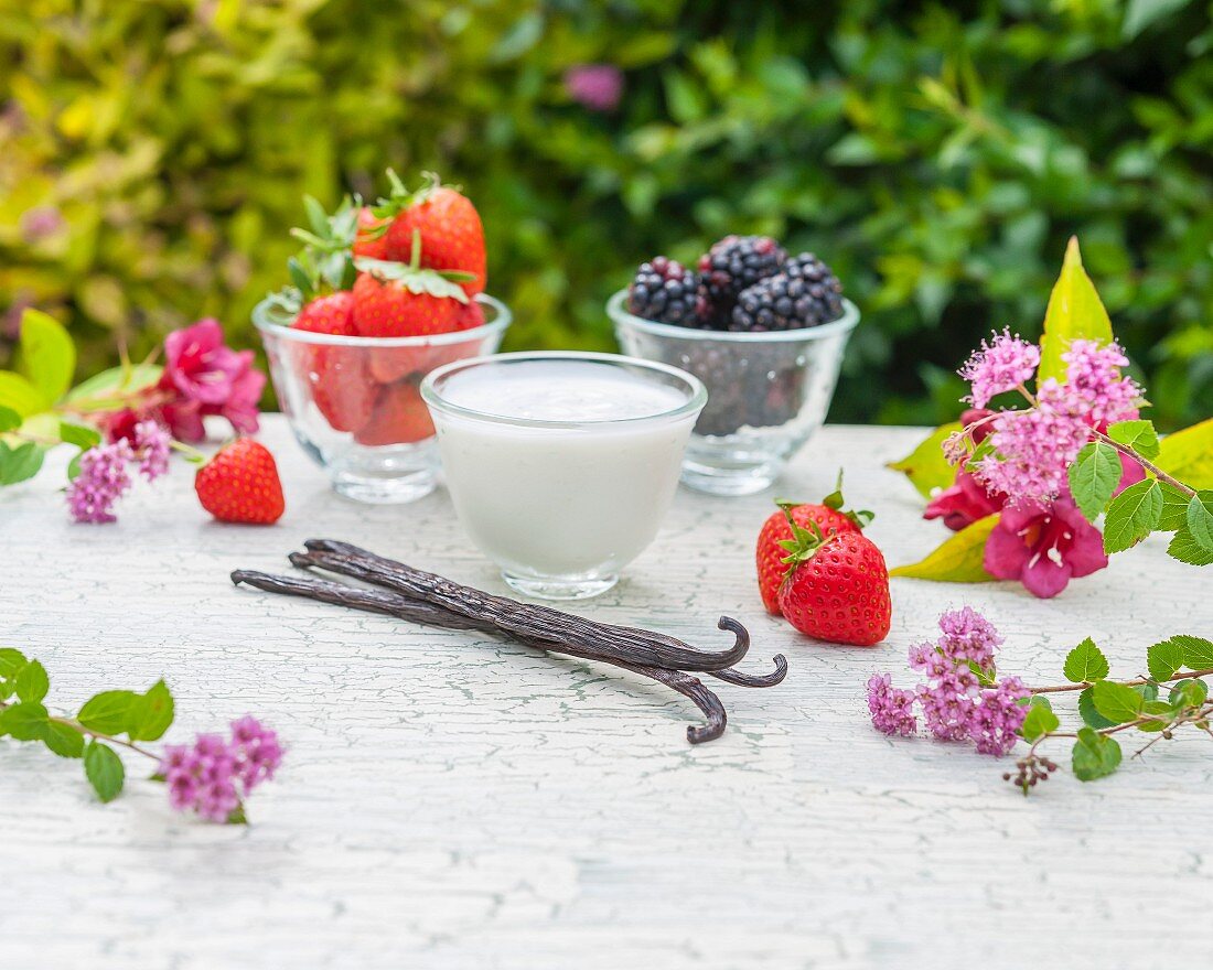 Vanilleschoten, Sommerbeeren, Kräuter und Joghurt auf Gartentisch