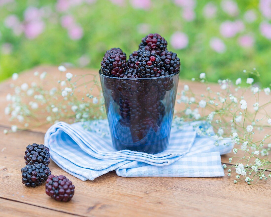 Blackberries and gypsophila on a garden table