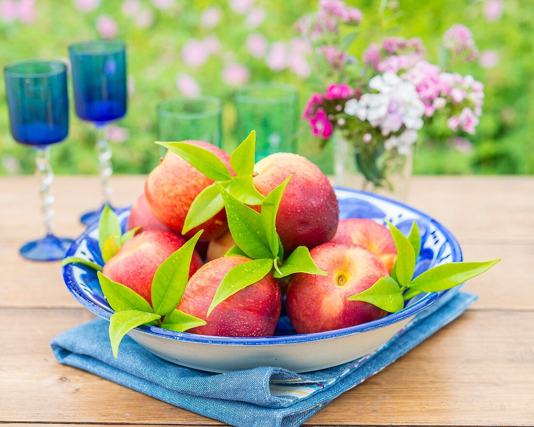 Nectarines with leaves in a bowl on a garden table