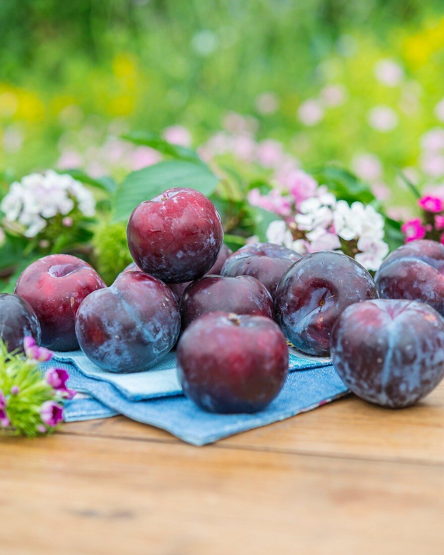Plums with flowers and leaves on a garden table