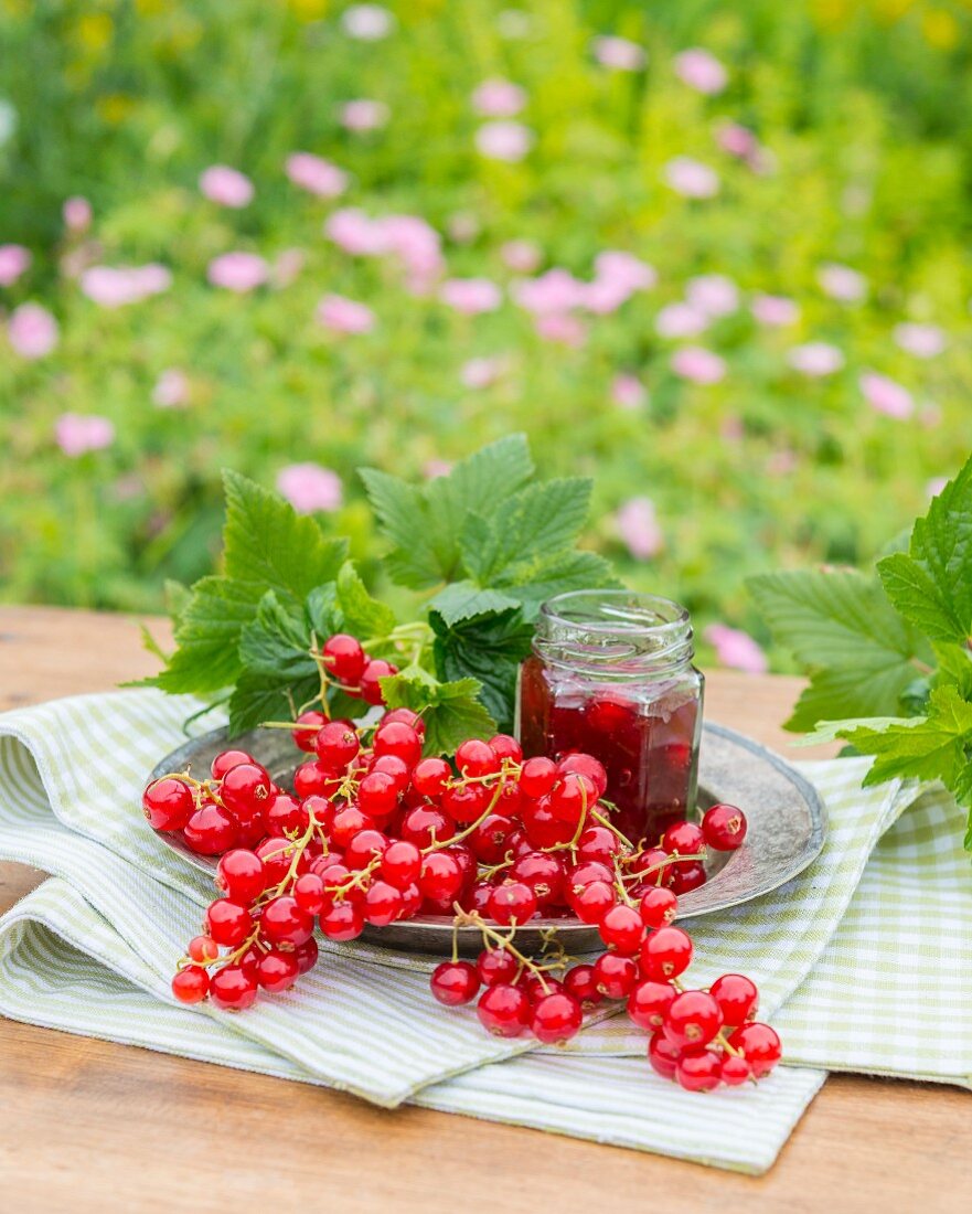 Rote Johannisbeeren und ein Glas Johannisbeermarmelade auf Gartentisch